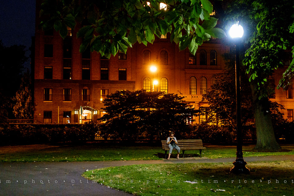 Yr7•311-366•2496•Got to Catch Them All