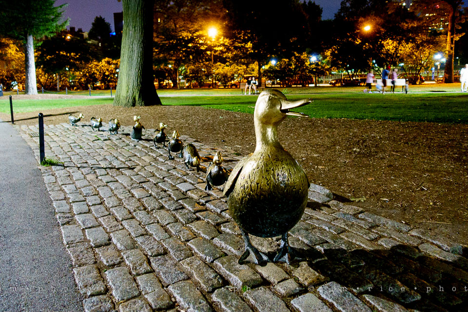 Yr7•312-366•2496•Got to Catch Them All