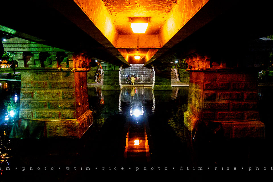 Yr7•316-366•2496•Got to Catch Them All