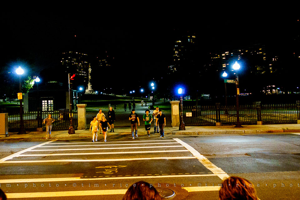 Yr7•317-366•2496•Got to Catch Them All