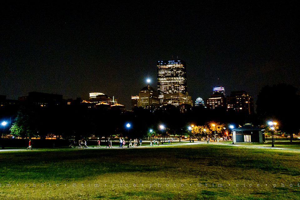 Yr7•318-366•2496•Got to Catch Them All