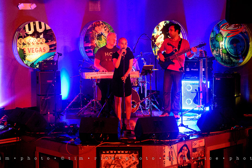 Yr7•320-366•2482•Carlie's Wish