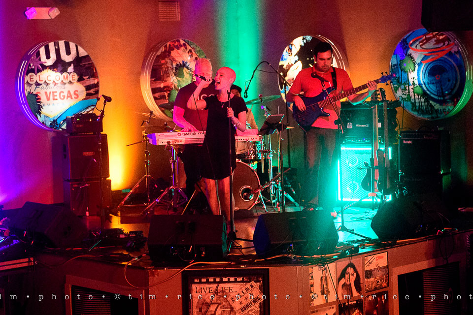 Yr7•321-366•2482•Carlie's Wish