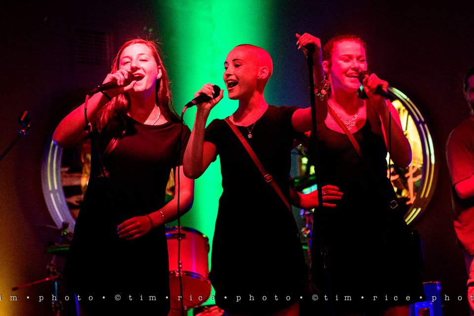 Yr7•327-366•2482•Carlie's Wish