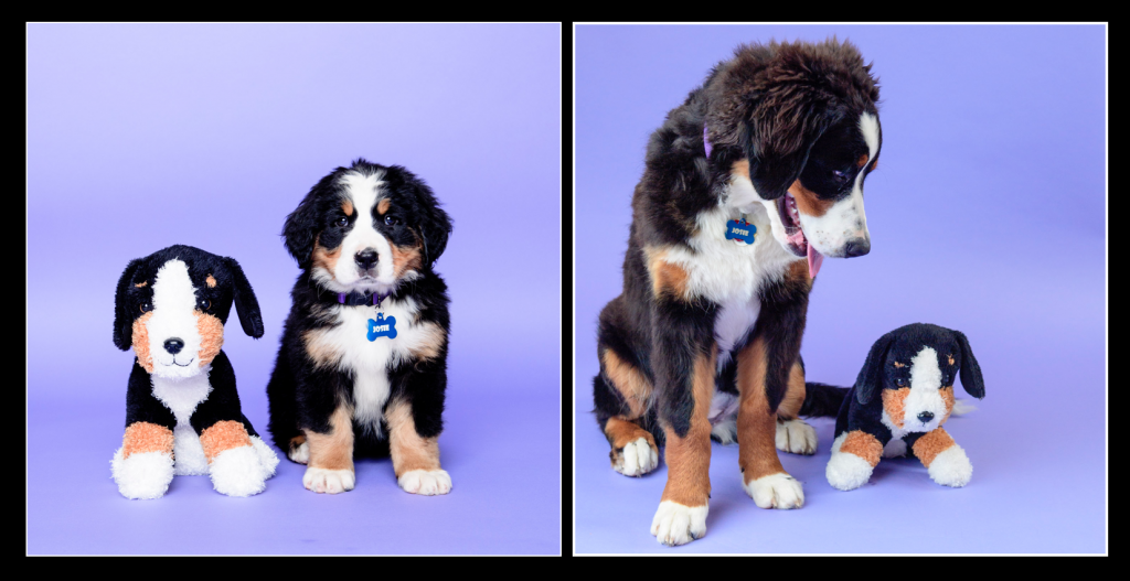 Screen Shot 2016-08-04 at 9.35.18 PM