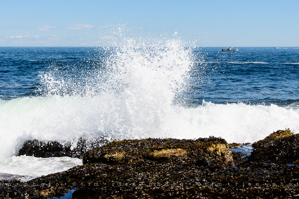 Yr7•313-366•2503•The Point-2