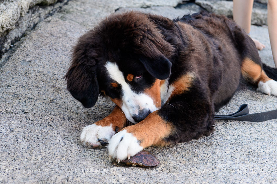 Yr7•314-366•2503•The Point-2