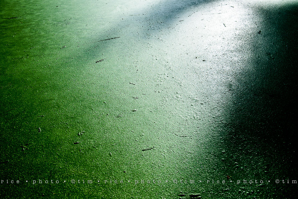 Yr7•314-366•2505•The Surface of