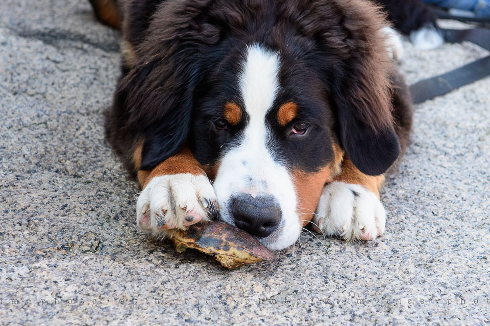 Yr7•315-366•2503•The Point-2