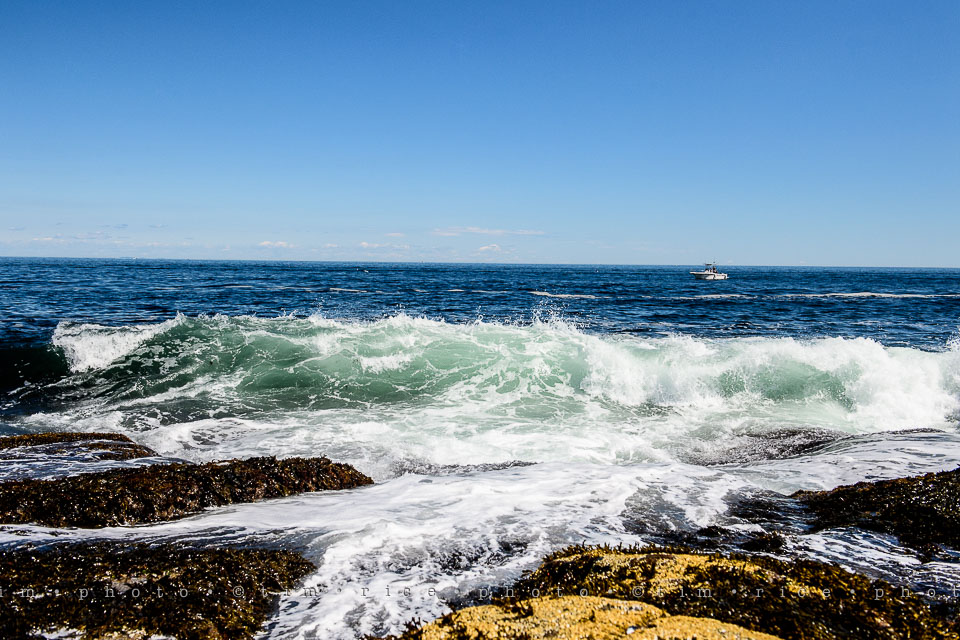 Yr7•317-366•2503•The Point-2