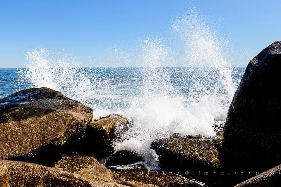 Yr7•318-366•2503•The Point-2