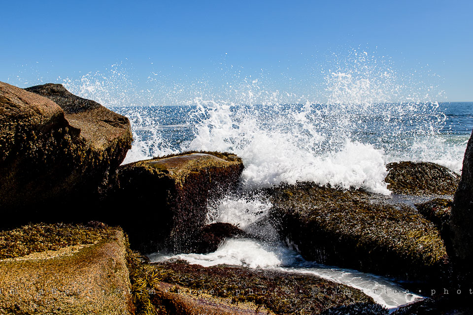 Yr7•319-366•2503•The Point-2