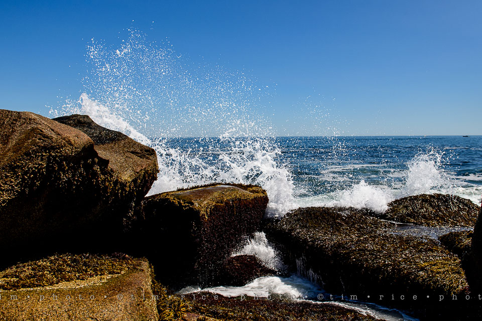 Yr7•321-366•2503•The Point-2