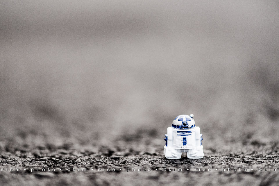 Yr7•322-366•2513•RIPR2D2