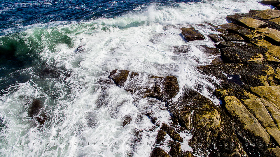 Yr7•324-366•2503•The Point