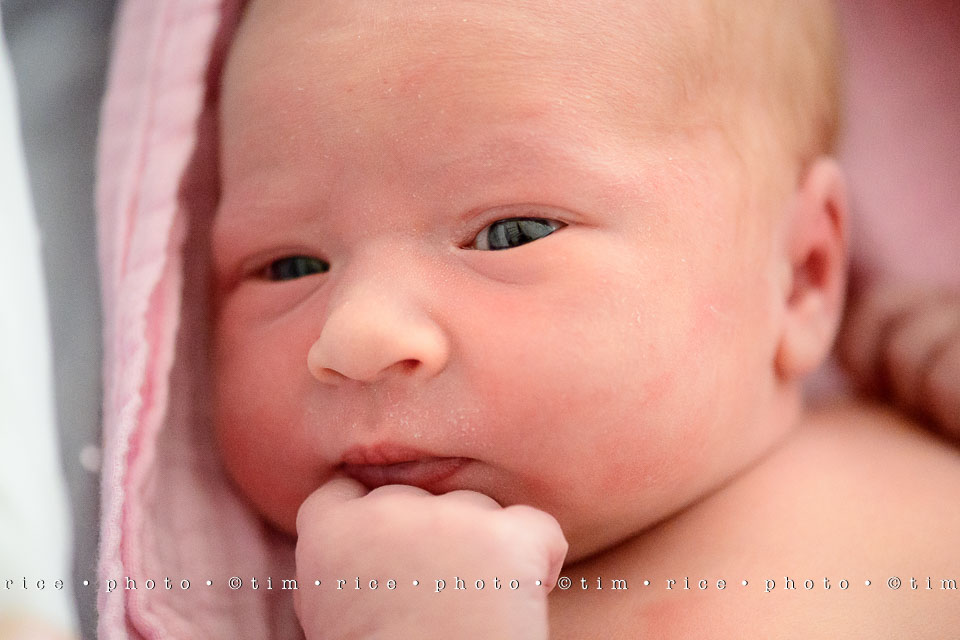 Yr7•327-366•2517•Meet Eliza