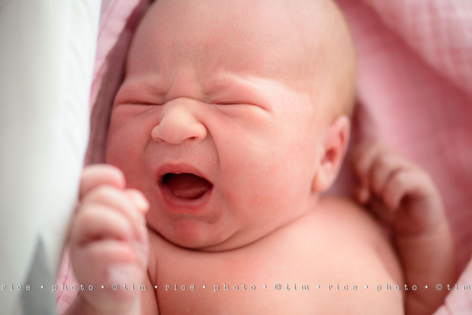 Yr7•328-366•2517•Meet Eliza