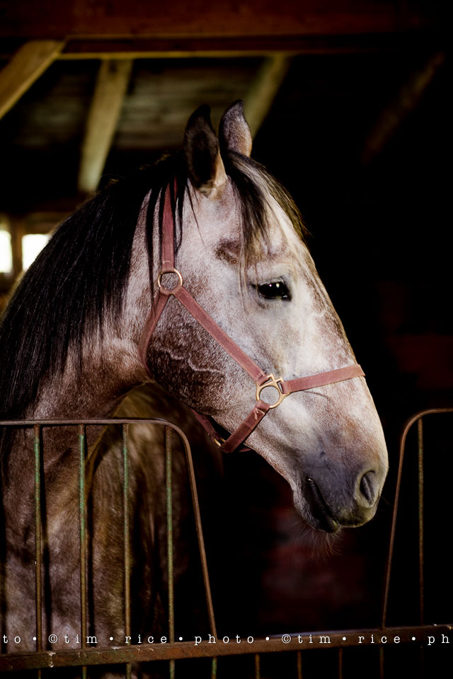 Yr7•328-366•2518•Shannon