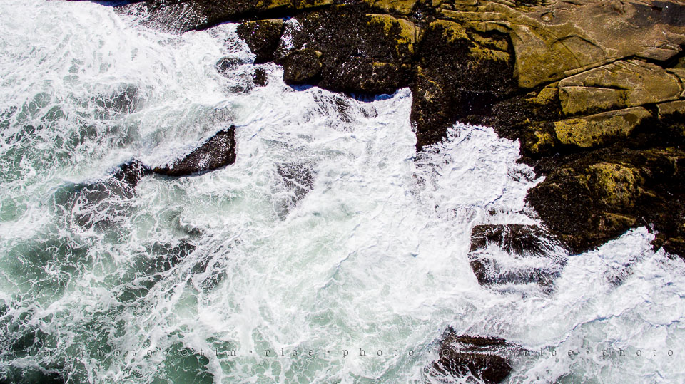 Yr7•329-366•2503•The Point