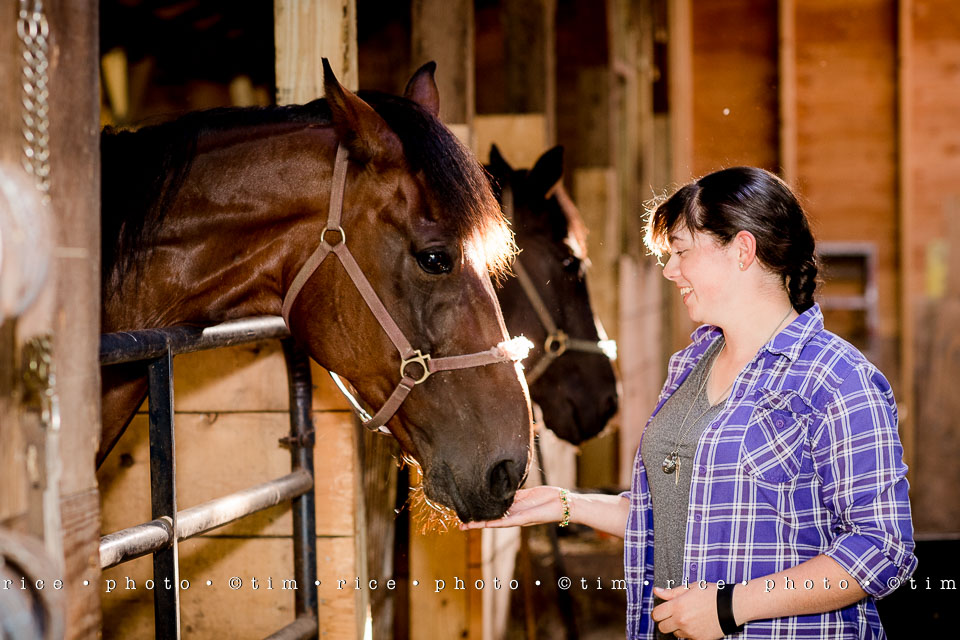 Yr7•330-366•2518•Shannon