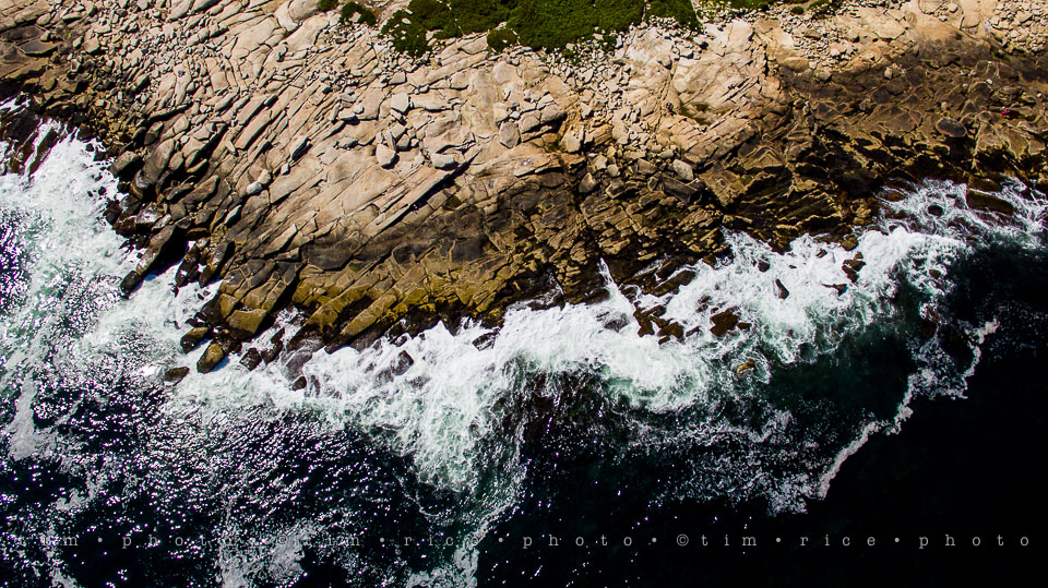 Yr7•331-366•2503•The Point