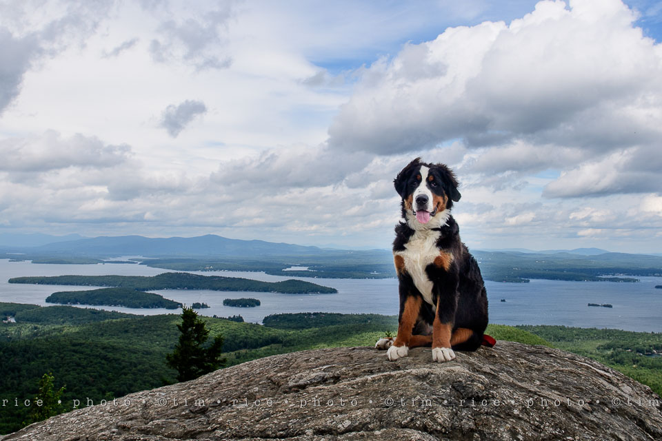 Yr7•331-366•2509•Major