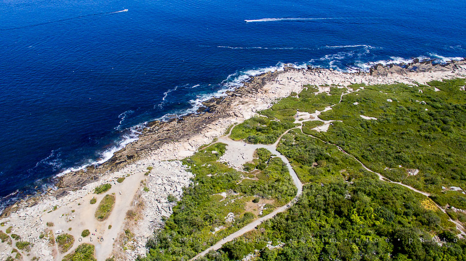 Yr7•335-366•2503•The Point