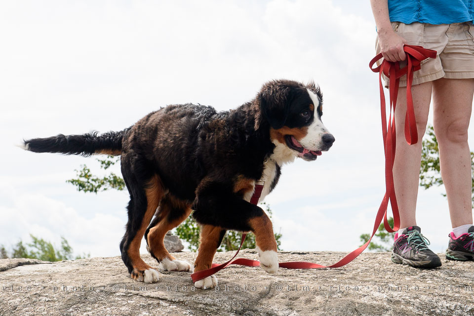 Yr7•337-366•2509•Major