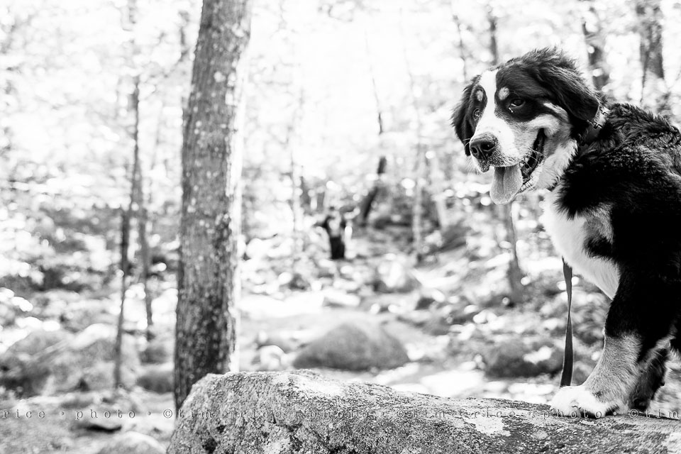 Yr7•339-366•2509•Major