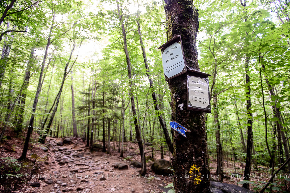 Yr7•341-366•2509•Major