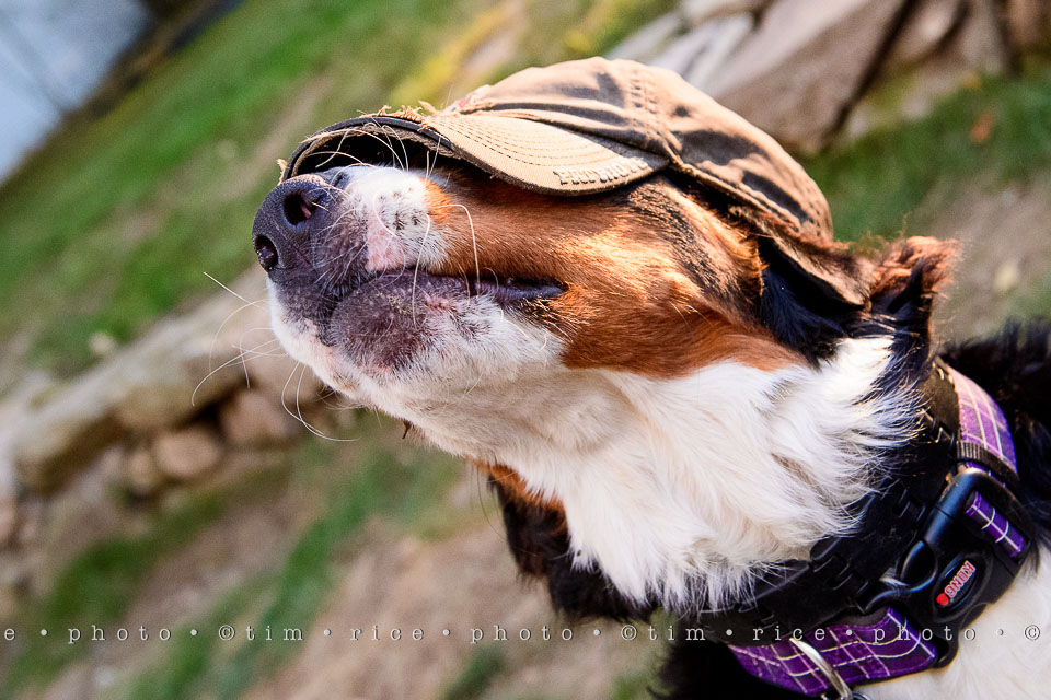 yr7%e2%80%a2350-366%e2%80%a22538%e2%80%a2tradtion