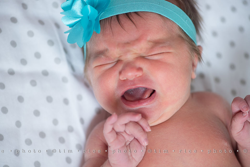 yr7%e2%80%a2350-366%e2%80%a22539%e2%80%a2kendall-at-6-days-old