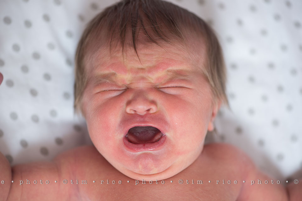 yr7%e2%80%a2352-366%e2%80%a22539%e2%80%a2kendall-at-6-days-old