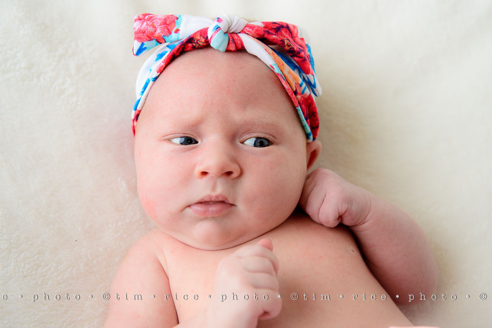 yr7%e2%80%a2353-366%e2%80%a22541%e2%80%a2eliza