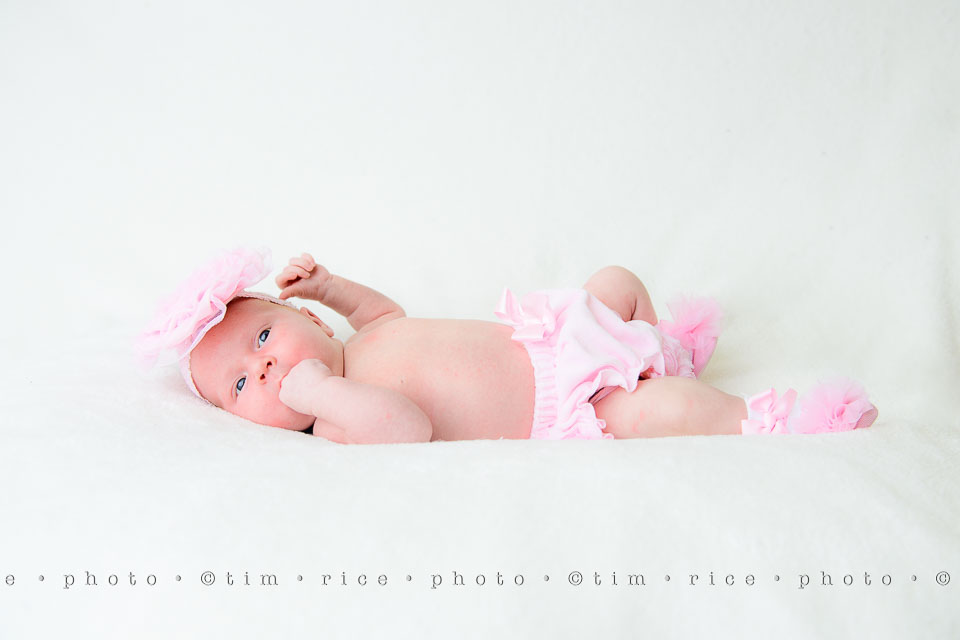 yr7%e2%80%a2355-366%e2%80%a22541%e2%80%a2eliza