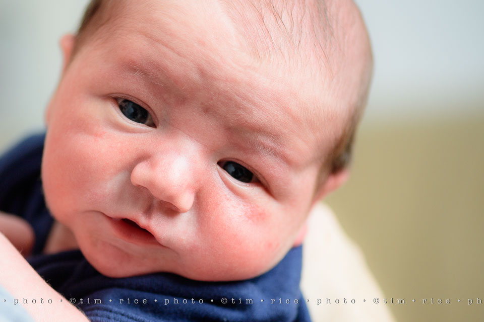 yr7%e2%80%a2359-366%e2%80%a22544%e2%80%a2teagan-at-6-days-old