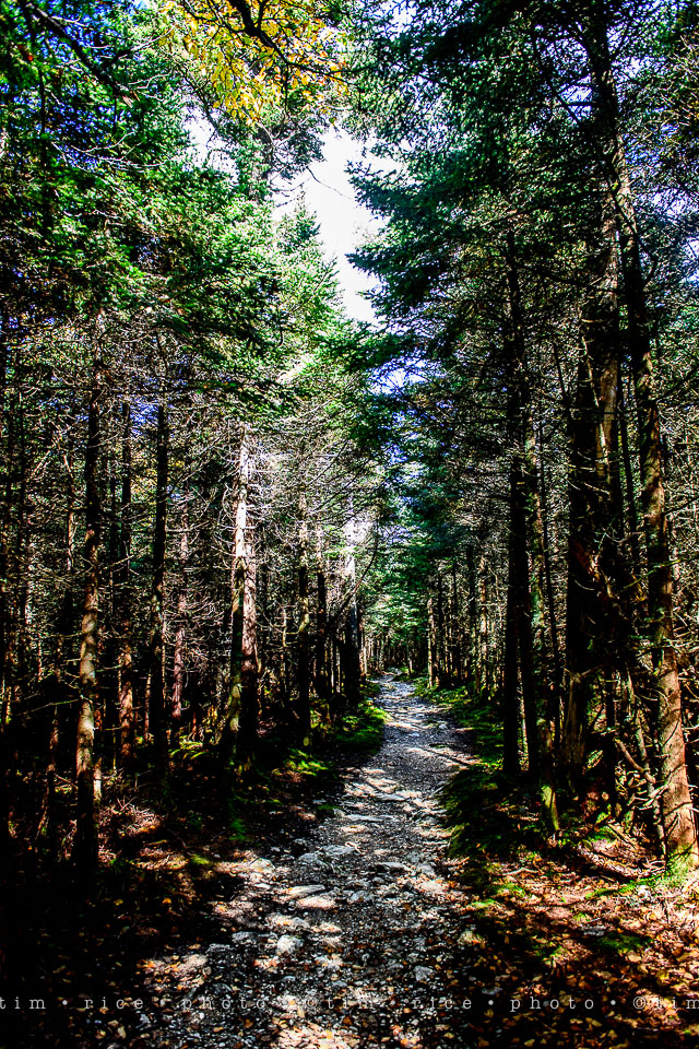 yr7%e2%80%a2359-366%e2%80%a22550%e2%80%a2equinox-view