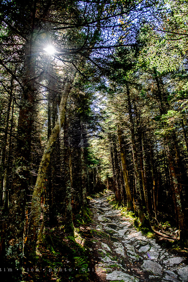 yr7%e2%80%a2360-366%e2%80%a22550%e2%80%a2equinox-view