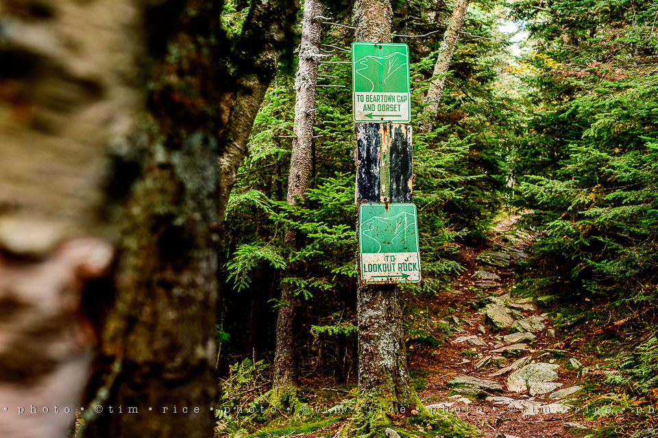 yr7%e2%80%a2361-366%e2%80%a22550%e2%80%a2equinox-view