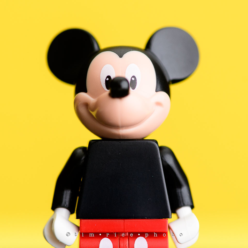 yr7%e2%80%a2363-366%e2%80%a22554%e2%80%a2the-disney-bunch