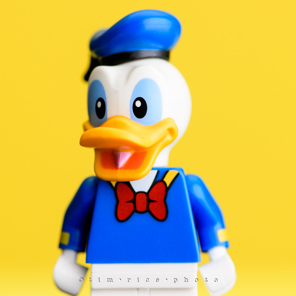 yr7%e2%80%a2365-366%e2%80%a22554%e2%80%a2the-disney-bunch