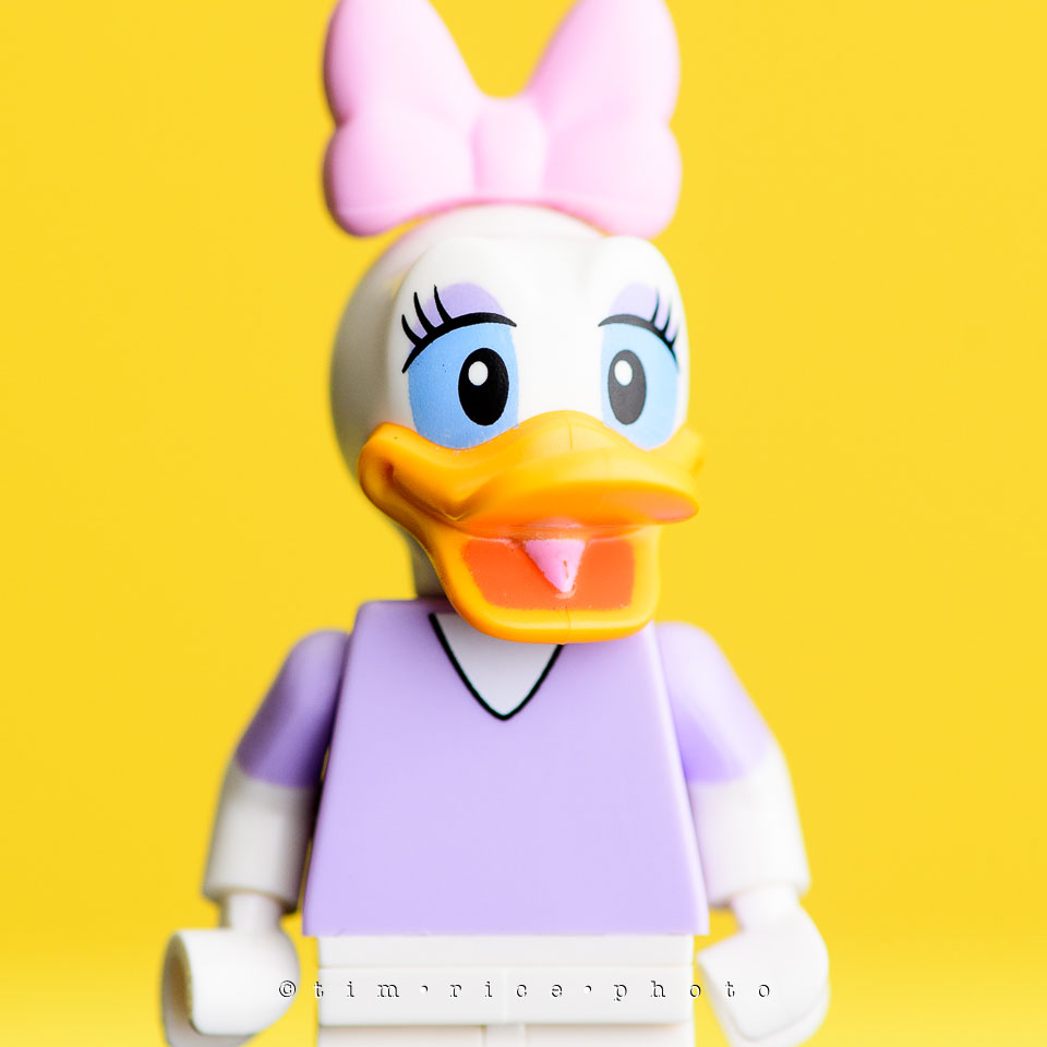 yr7%e2%80%a2366-366%e2%80%a22554%e2%80%a2the-disney-bunch