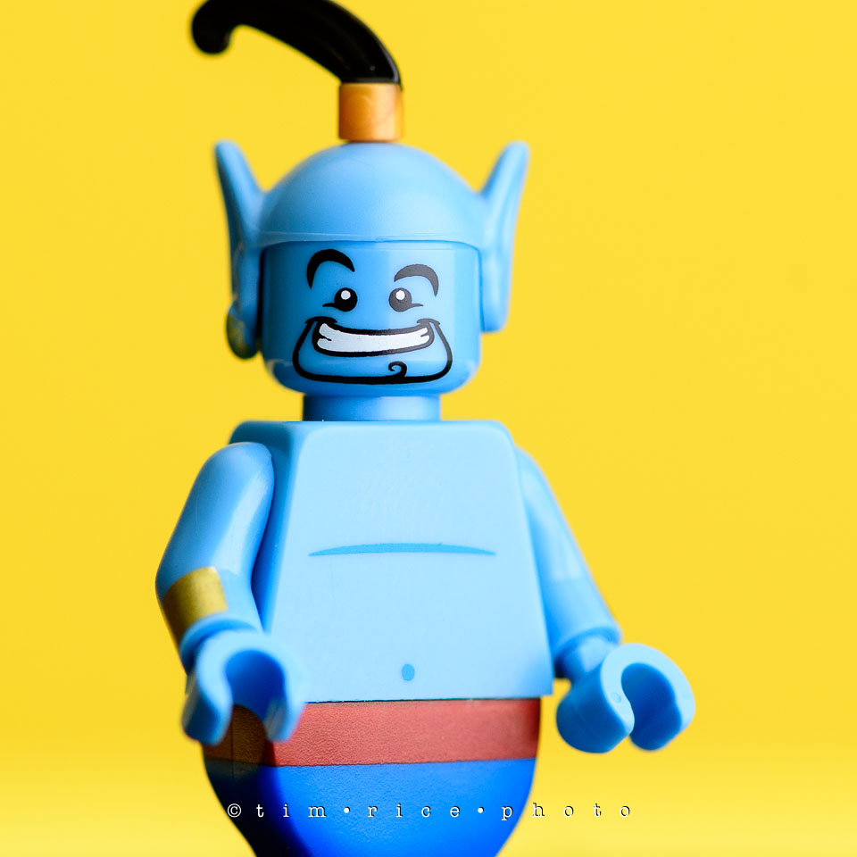 yr7%e2%80%a2367-366%e2%80%a22554%e2%80%a2the-disney-bunch