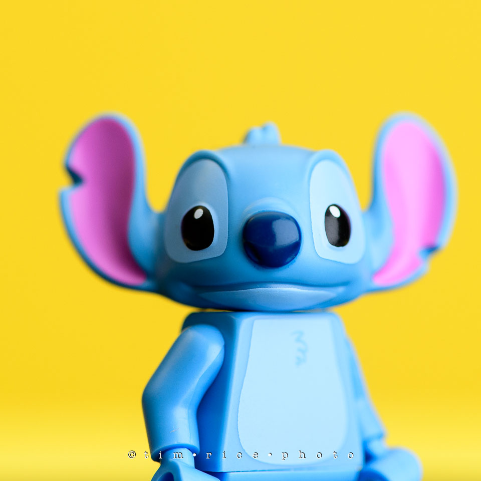 yr7%e2%80%a2370-366%e2%80%a22554%e2%80%a2the-disney-bunch