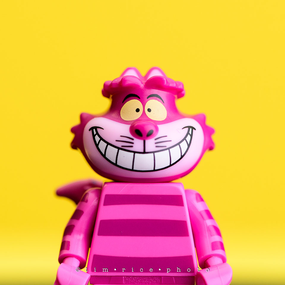 yr7%e2%80%a2372-366%e2%80%a22554%e2%80%a2the-disney-bunch