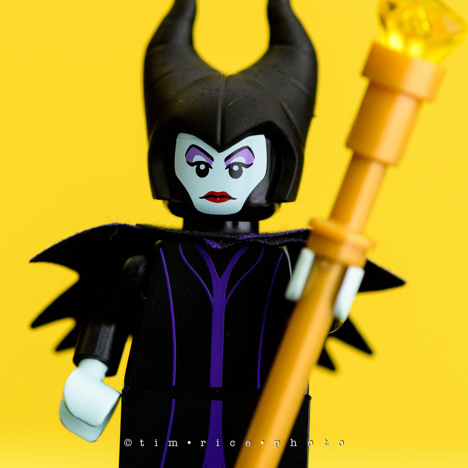 yr7%e2%80%a2376-366%e2%80%a22554%e2%80%a2the-disney-bunch