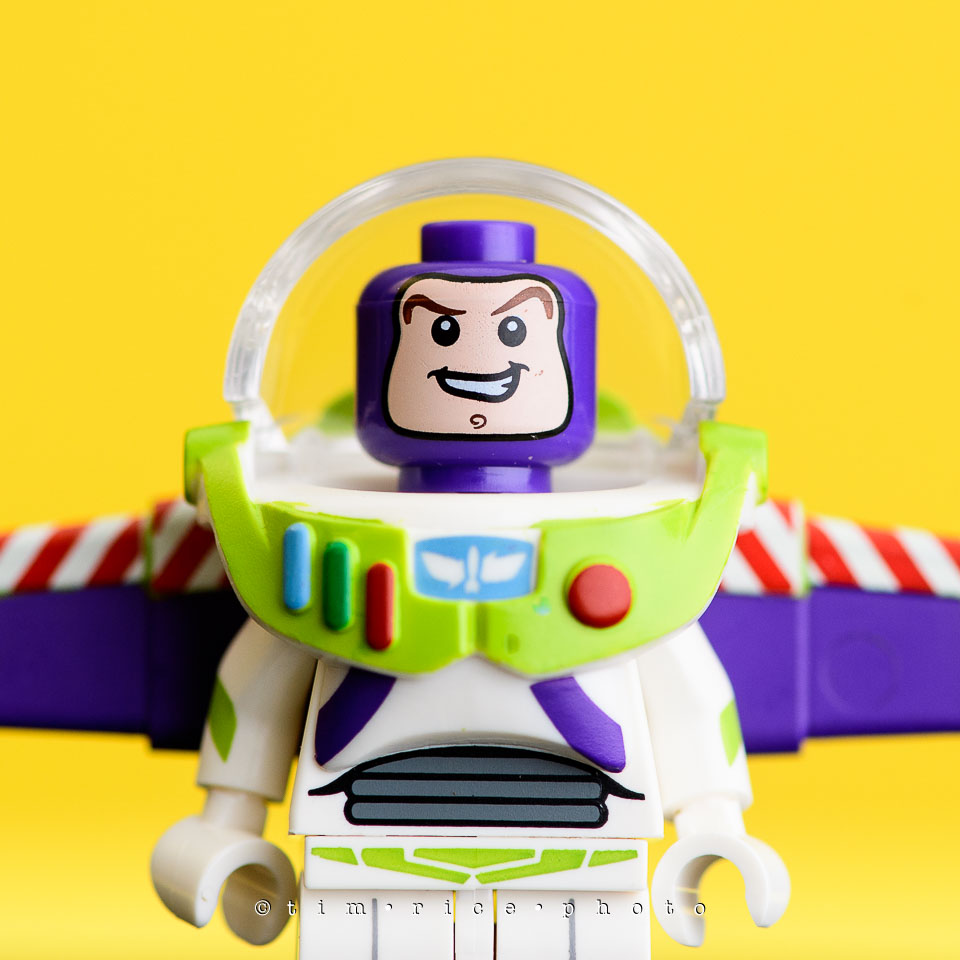 yr7%e2%80%a2377-366%e2%80%a22554%e2%80%a2the-disney-bunch