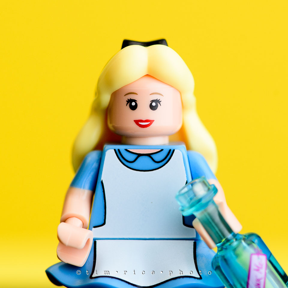 yr7%e2%80%a2379-366%e2%80%a22554%e2%80%a2the-disney-bunch