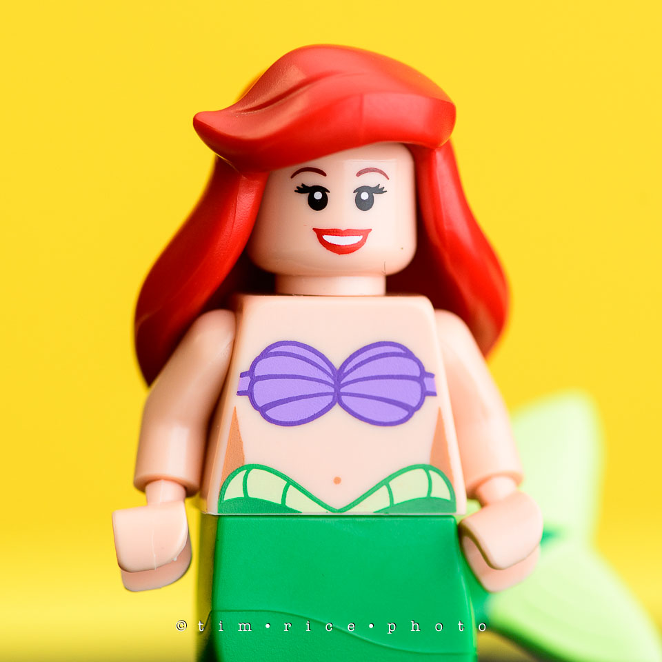 yr7%e2%80%a2380-366%e2%80%a22554%e2%80%a2the-disney-bunch