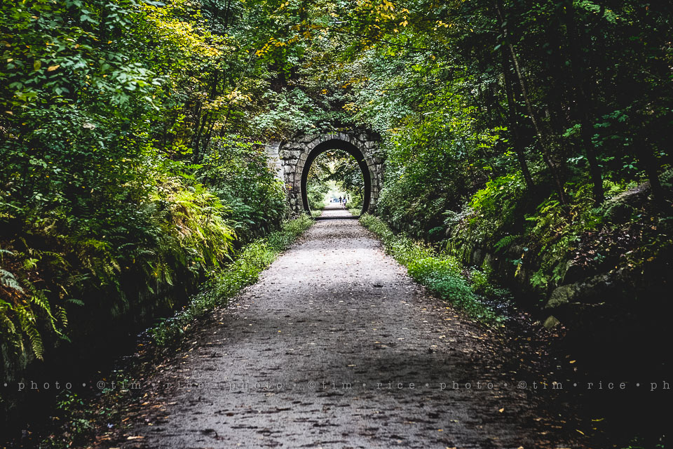 yr8%e2%80%a2002-365%e2%80%a22559%e2%80%a2holliston-trail